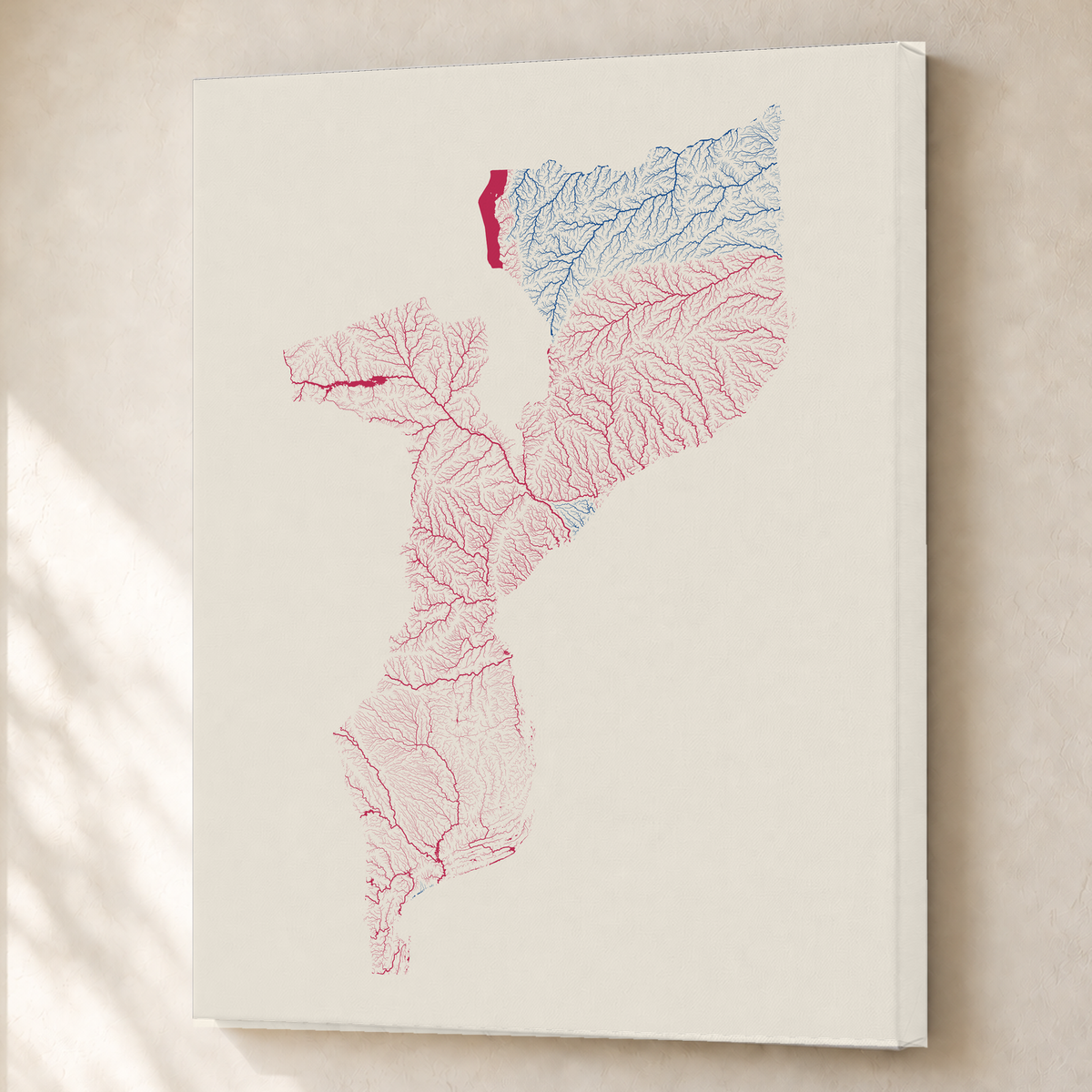 Quadro dos rios de Moçambique — Risografia, Sem margem — Canvas — 3x4